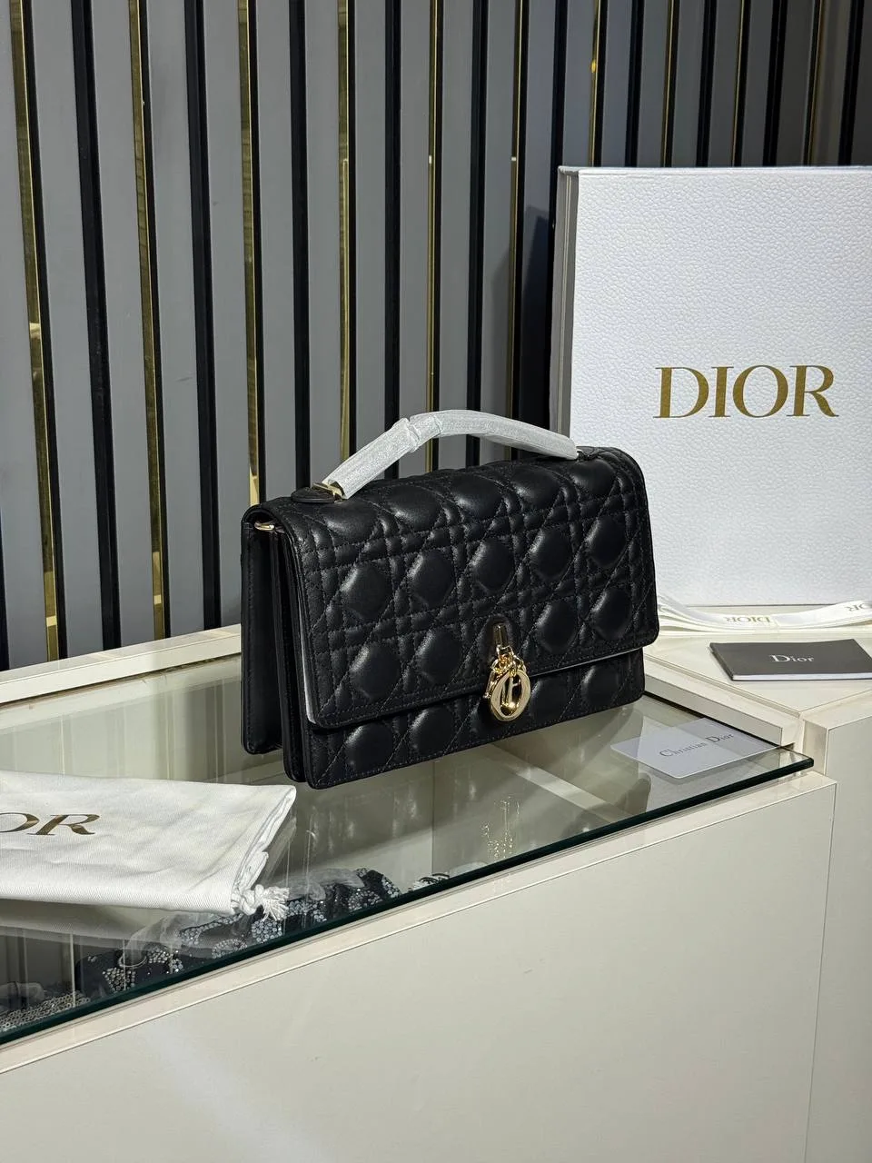 CD dior bag
