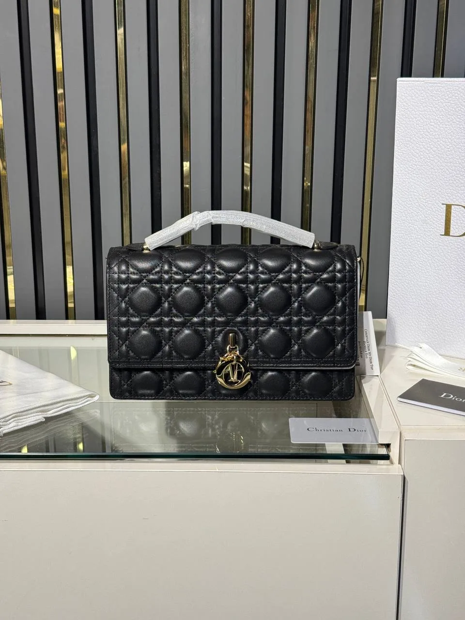 CD dior bag