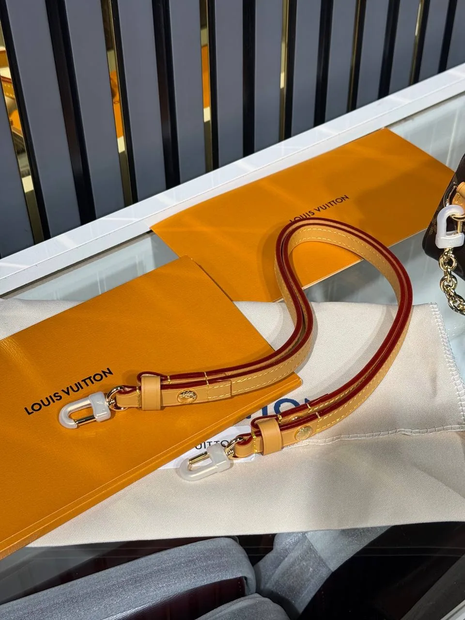 Lv Bag