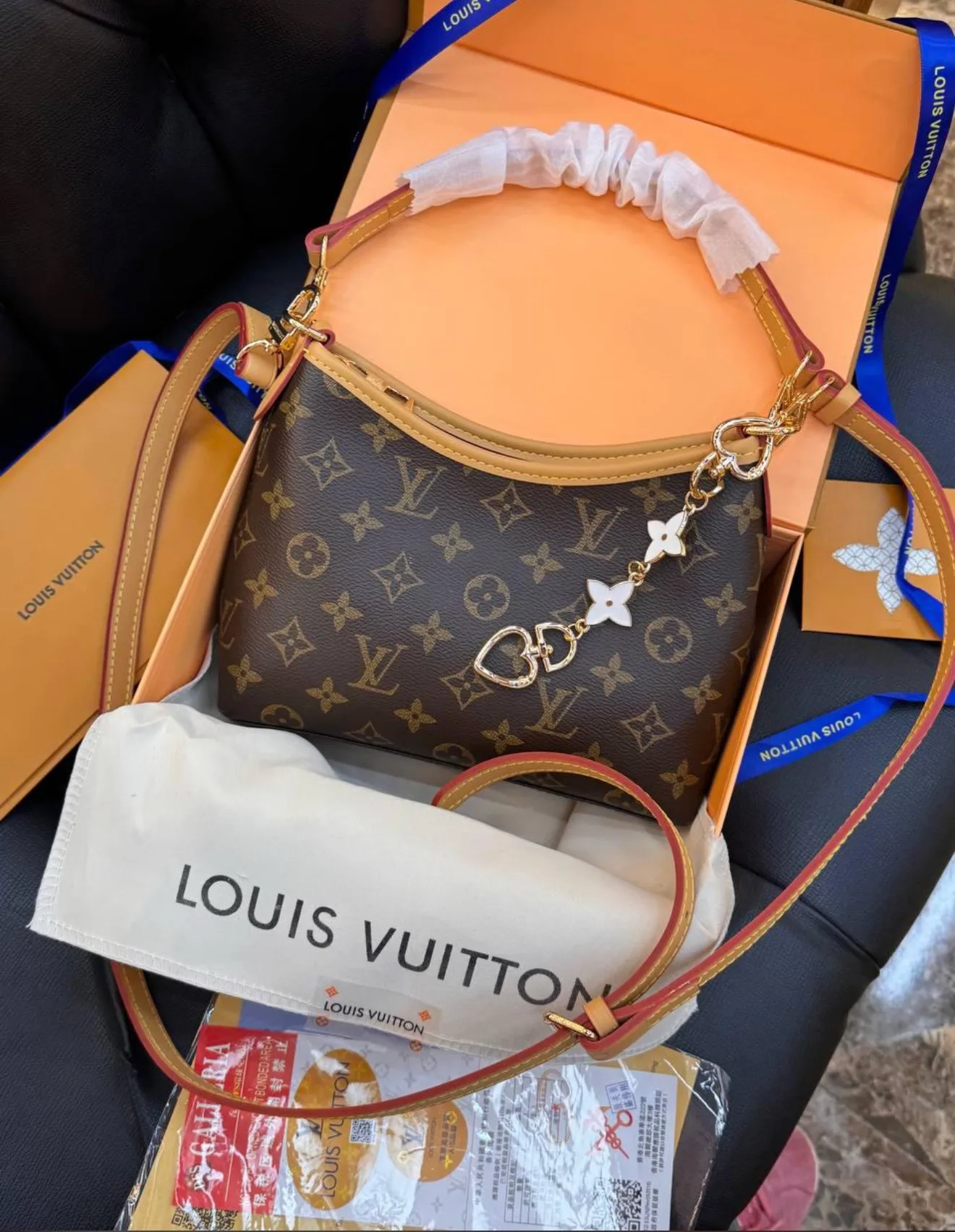 Lv Bag