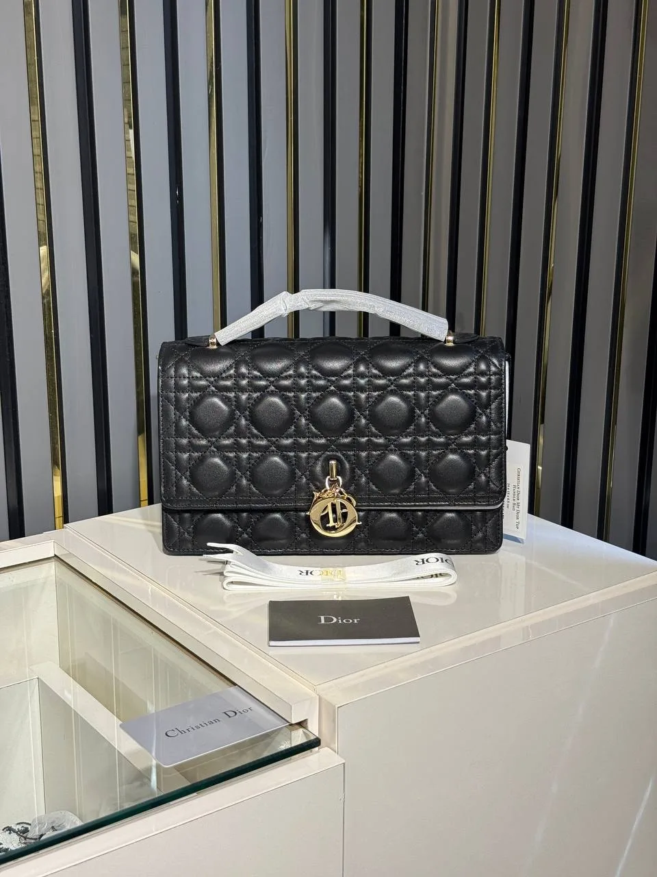CD dior bag