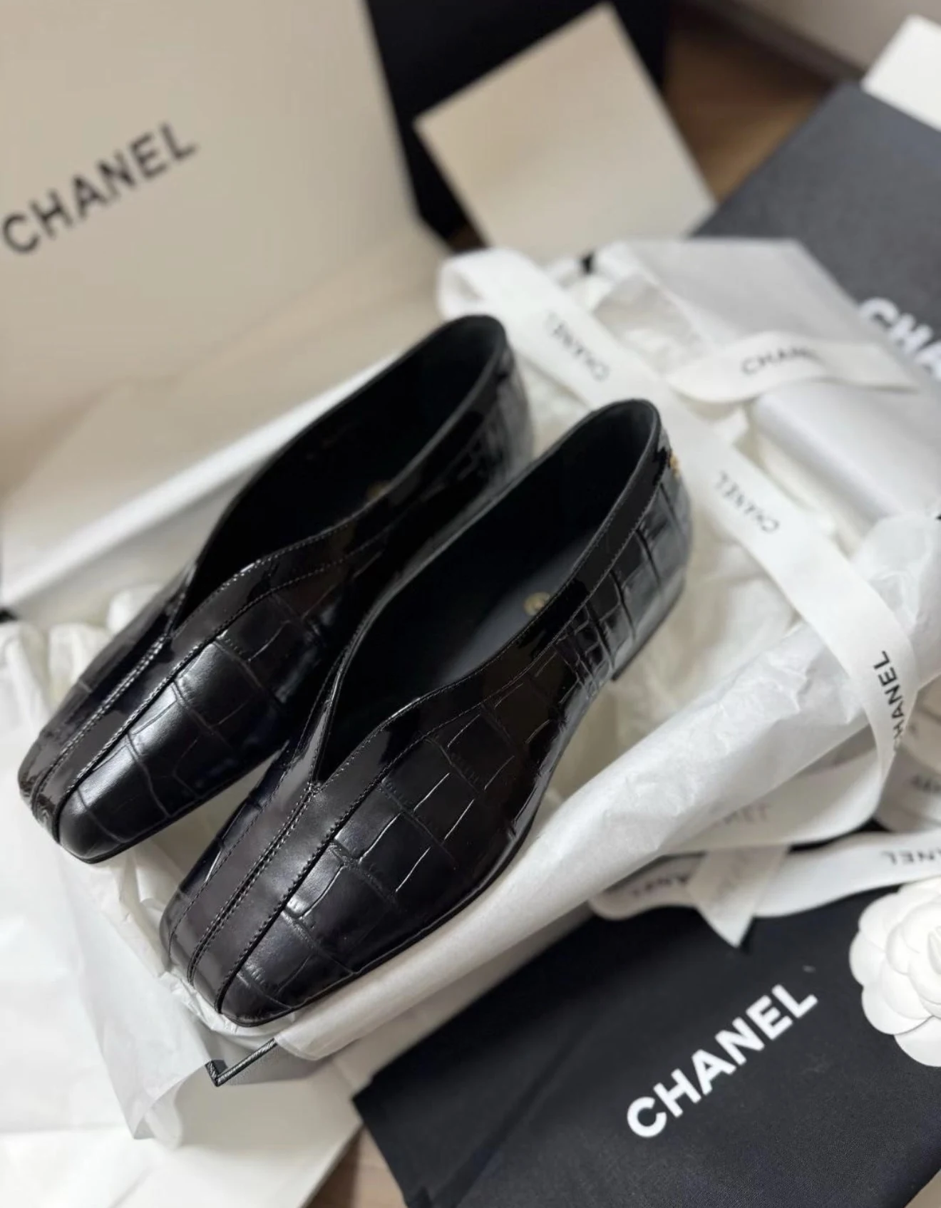New babet Chnl