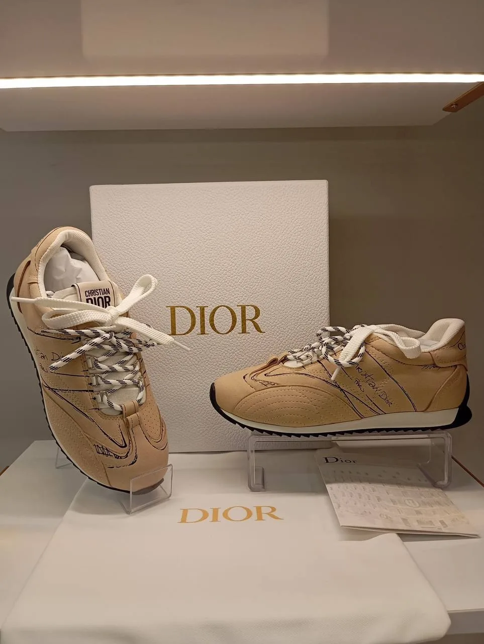 Cd sneaker